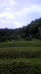 2010061112090000.jpg